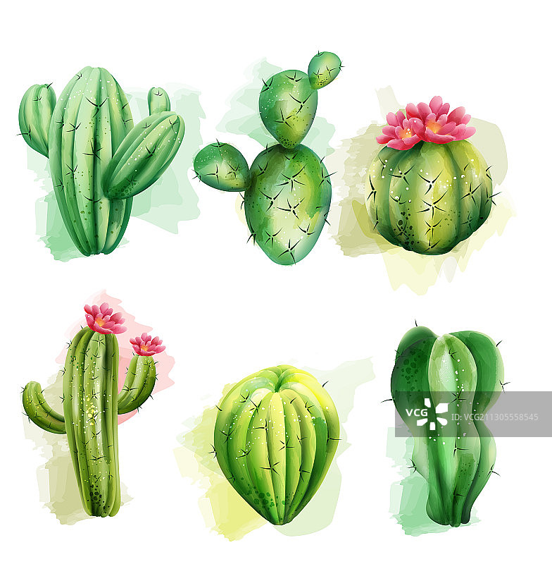 仙人掌异国植物合集图片素材