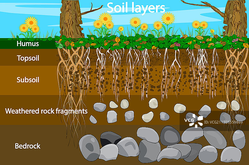 土壤分层图图片素材