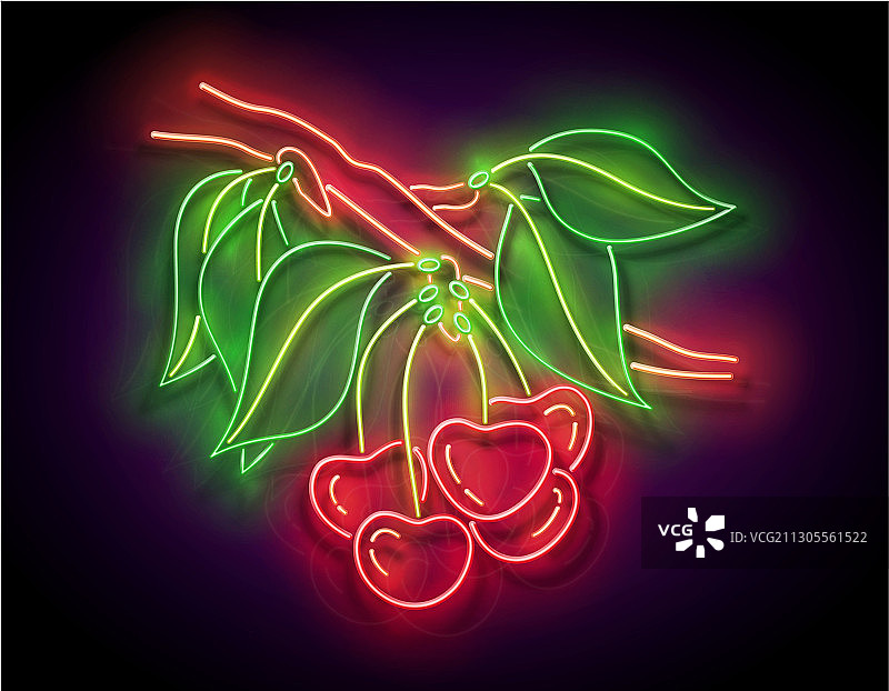 树枝上的发光樱桃有机水果图片素材