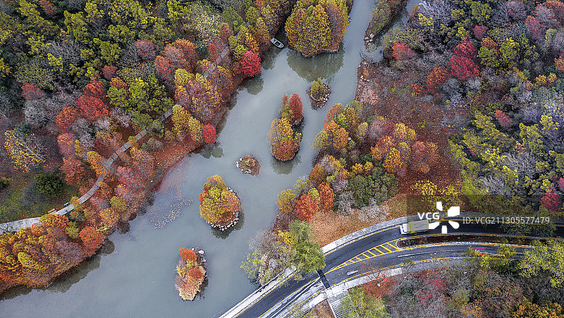 紫金山秋色图片素材