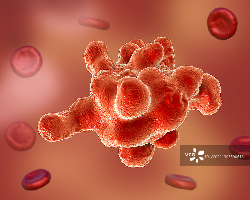 寄生性阿米巴原虫（溶组织内阿米巴），插图图片素材