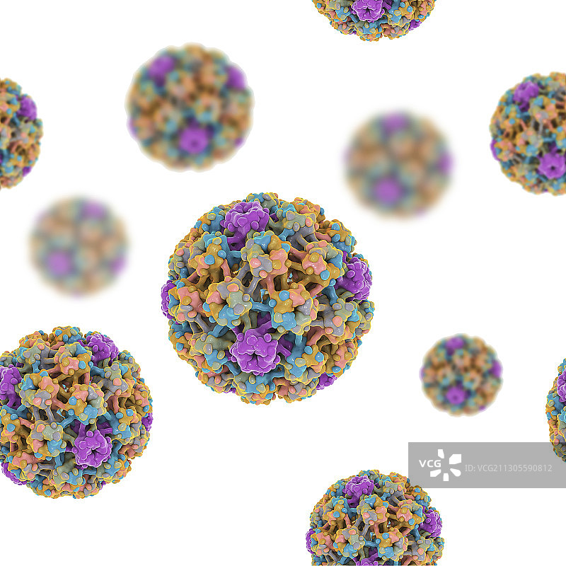 人乳头瘤病毒模型图图片素材