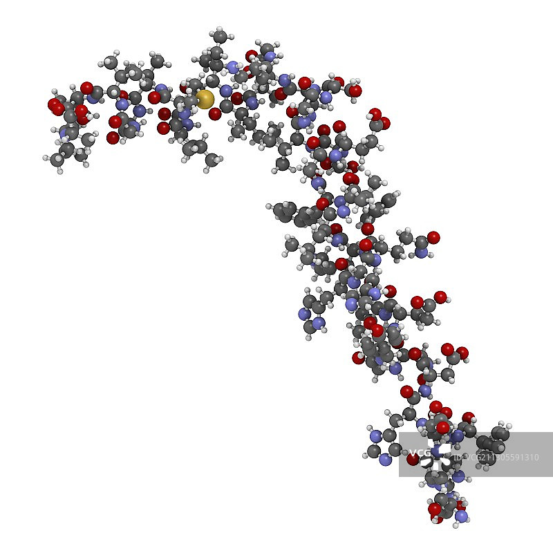 β淀粉样蛋白分子图示图片素材