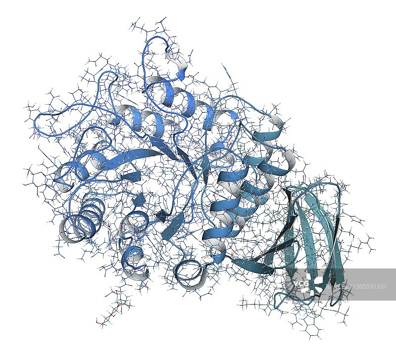 ɑ-半乳糖苷酶分子插画图片素材