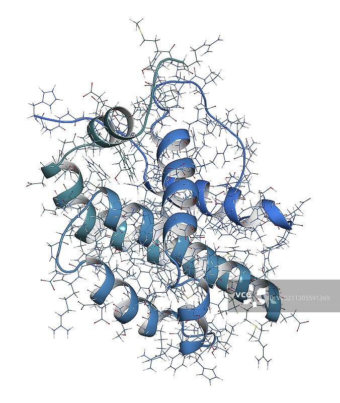 BCL-2调节蛋白分子结构图图片素材