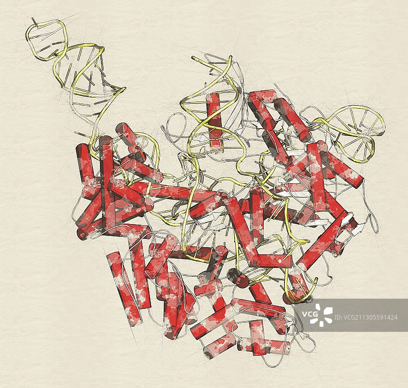 CRISPR-CAS9基因编辑复合物插图图片素材
