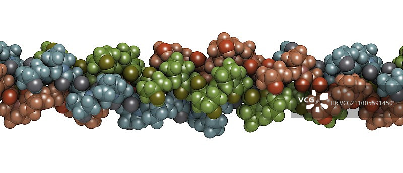胶原蛋白分子插画图片素材