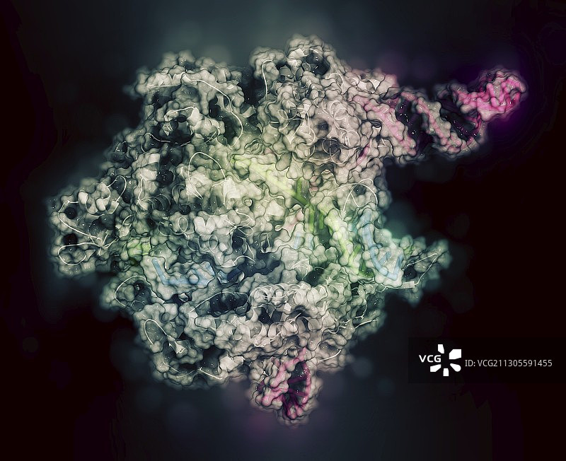 CRISPR-CAS9基因编辑复合物插图图片素材
