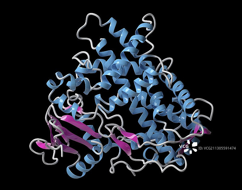 CYP2D6肝酶分子，图示图片素材