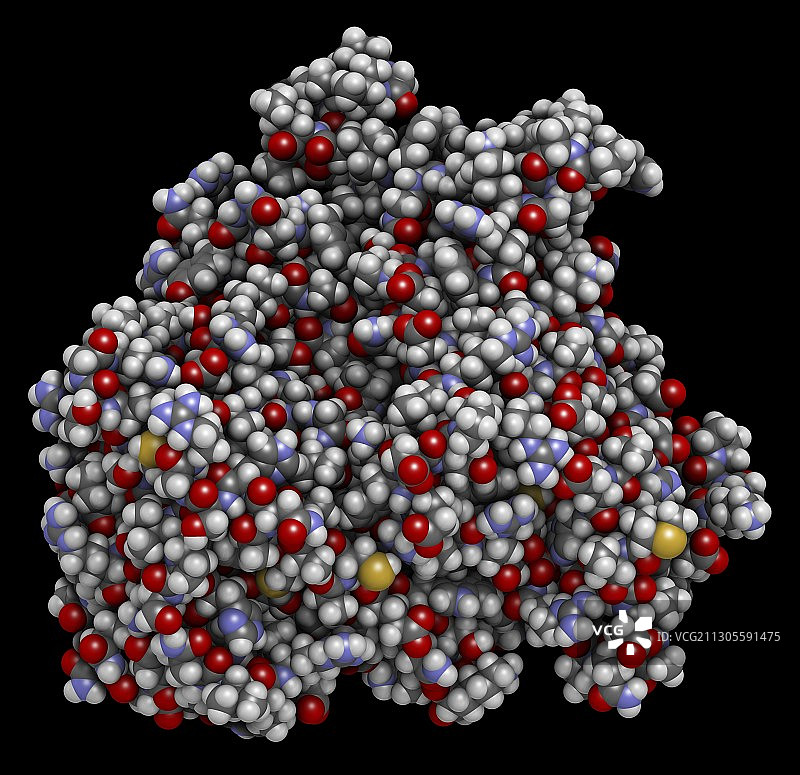 CYP2D6肝酶分子，图示图片素材