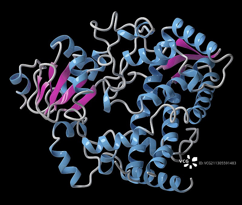 CYP2D6肝酶分子，图示图片素材