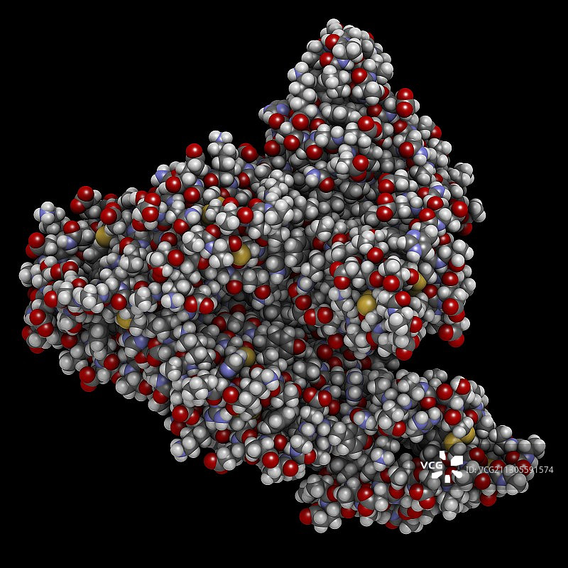 人血清白蛋白分子图图片素材