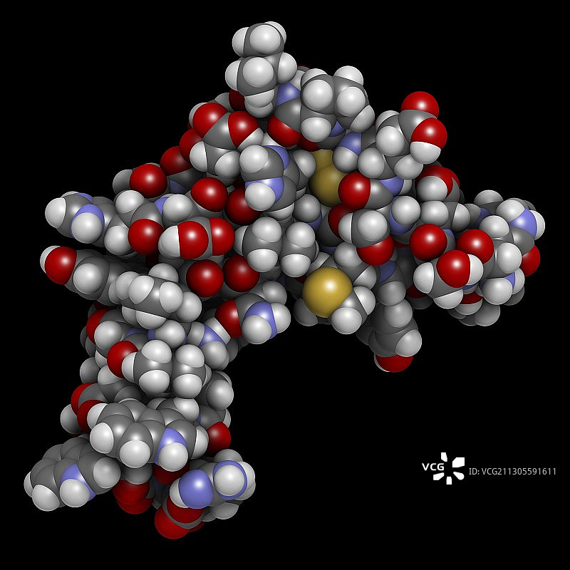 表皮生长因子分子图示图片素材