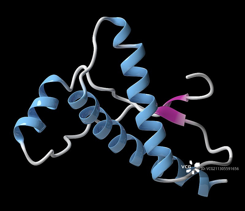人类朊病毒蛋白分子图图片素材