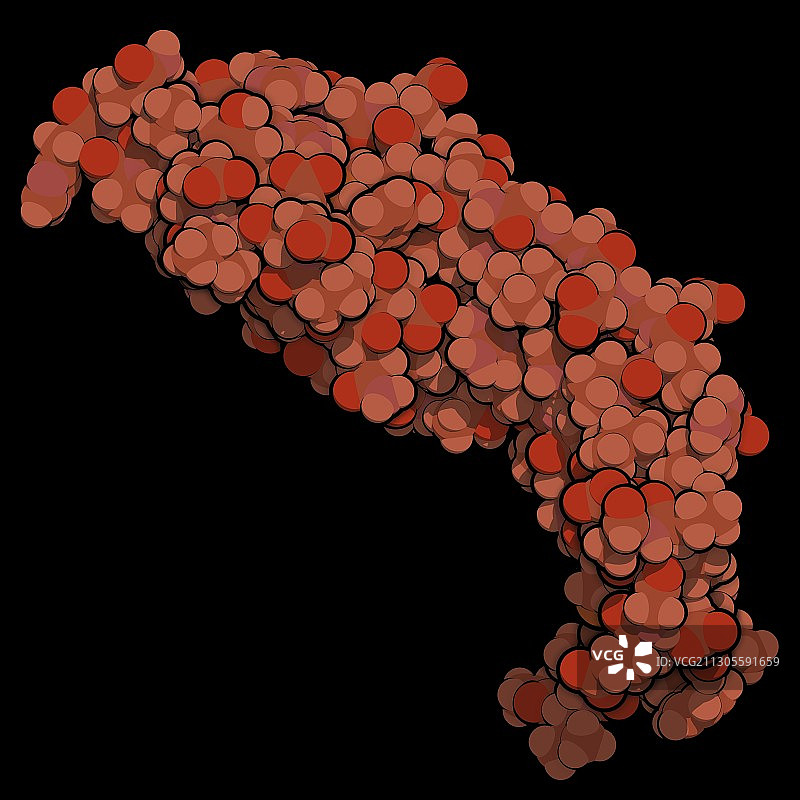 内皮生长因子A分子图图片素材