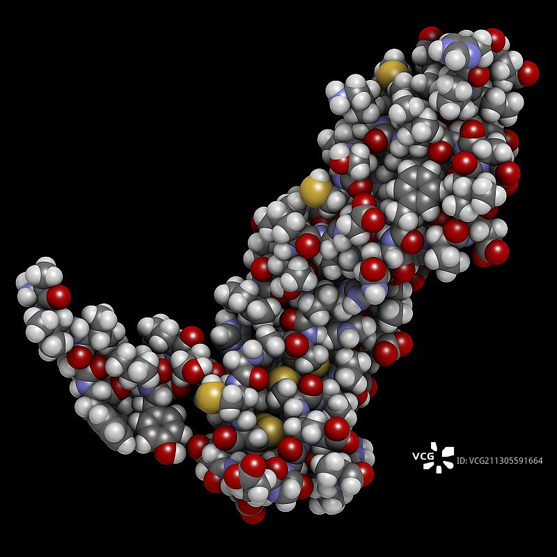 内皮生长因子A分子图图片素材
