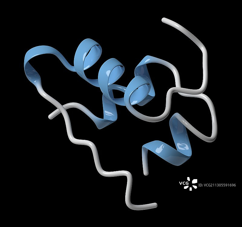 胰岛素分子结构示意图图片素材