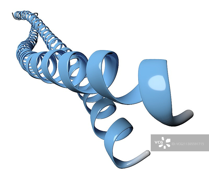 角蛋白丝分子结构图图片素材