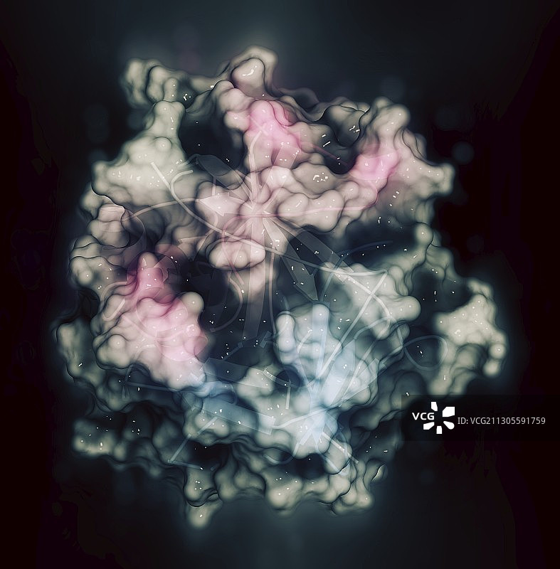 凝血酶酶分子示意图图片素材