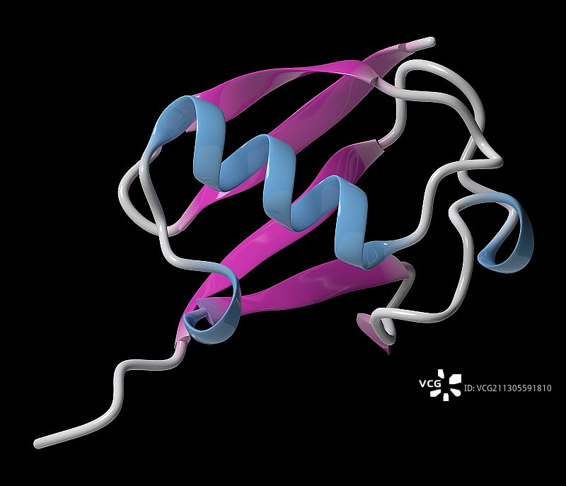 泛素分子，图示图片素材