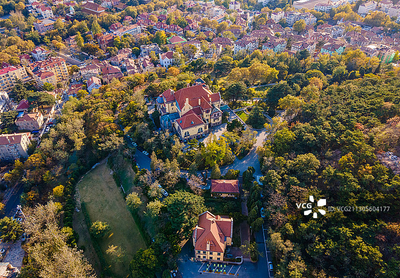 青岛秋色图片素材