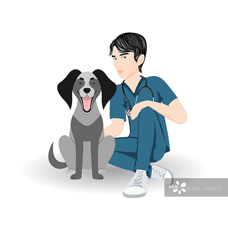 兽医14图片素材