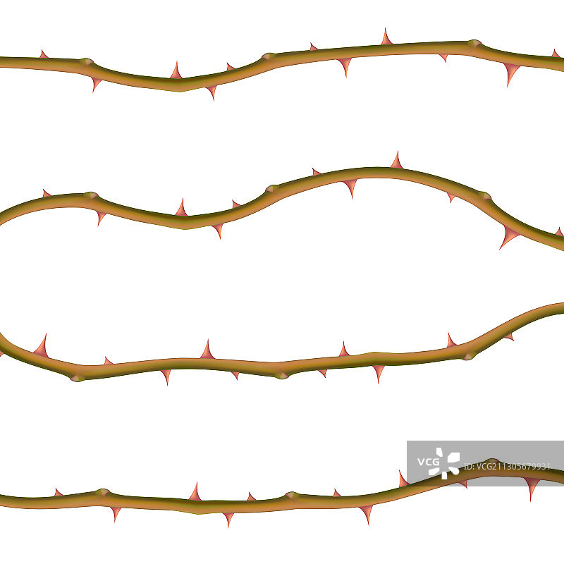 白色背景上的逼真荆棘套装图片素材