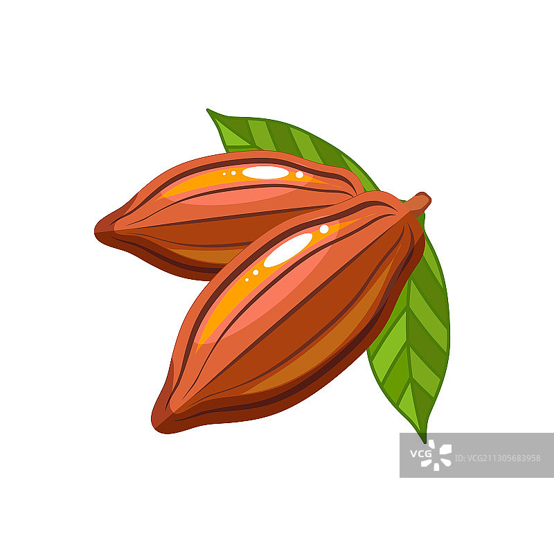 扁平风格可可豆包装设计图标图片素材