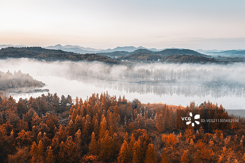 天目湖湿地秋色渐起，湖边的杉树林在湖边更显秋意。图片素材