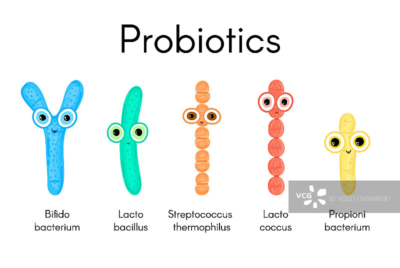 益生菌双歧杆菌乳杆菌图片素材