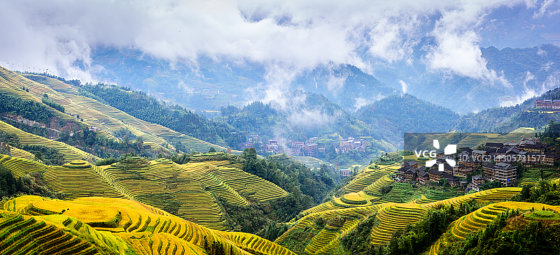 金坑梯田秋韵图片素材