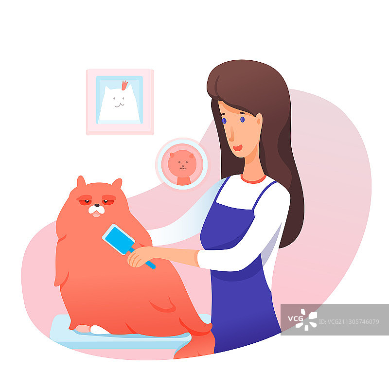 女美容师梳理蓬松的猫咪图片素材