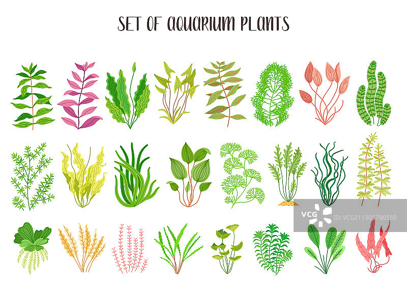 可爱卡通水族馆植物野生生物图片素材