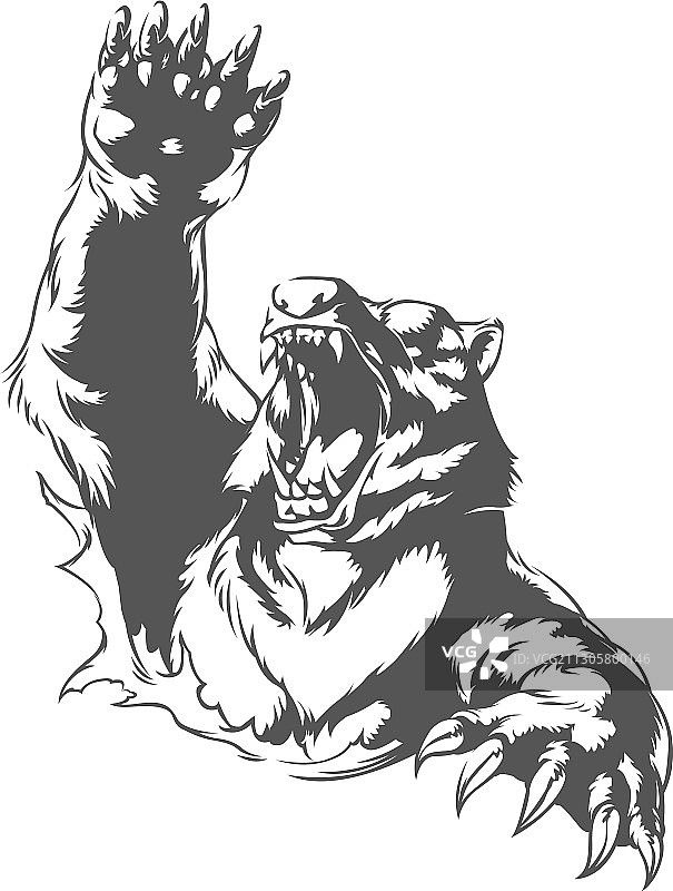 愤怒的熊攻击的轮廓图片素材