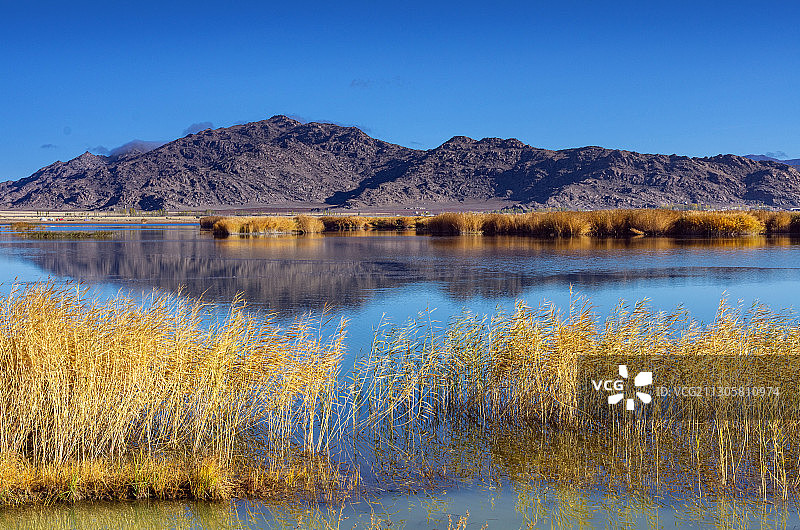 富蕴野鸭湖之晨图片素材