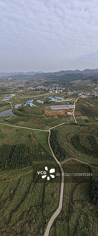 重庆秀山油茶产业蓬勃发展图片素材