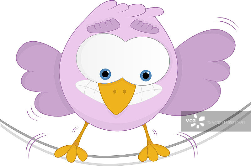 滑稽的鸟图片素材