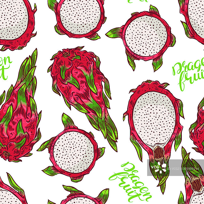 无缝彩色火龙果图案图片素材