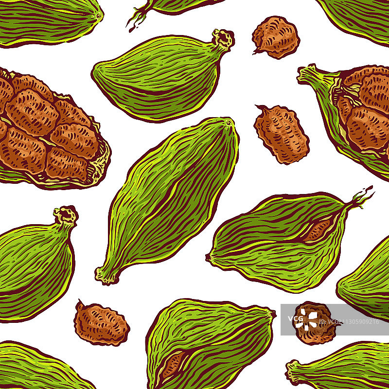 无缝彩色小豆蔻图案图片素材