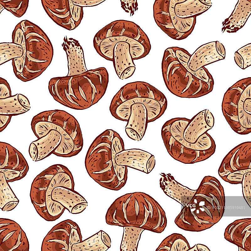 可爱香菇合集图片素材