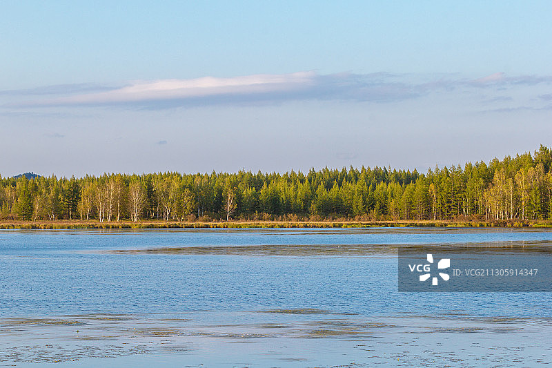 阿尔山杜鹃湖 (4)图片素材