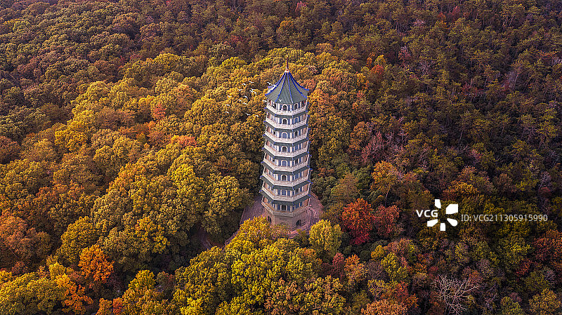 深秋的南京灵谷寺白塔图片素材