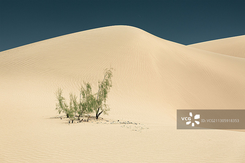 中国新疆阿克苏地区塔克拉玛干沙漠风光图片素材