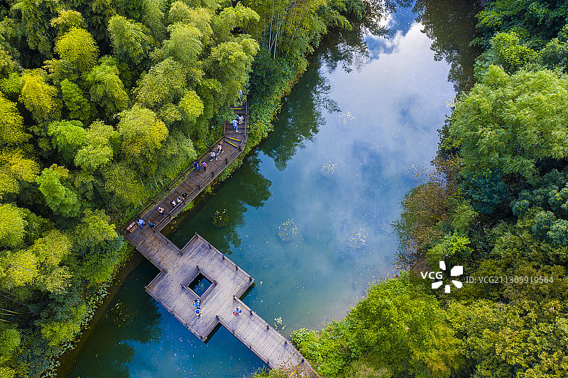 生态自然竹海图片素材