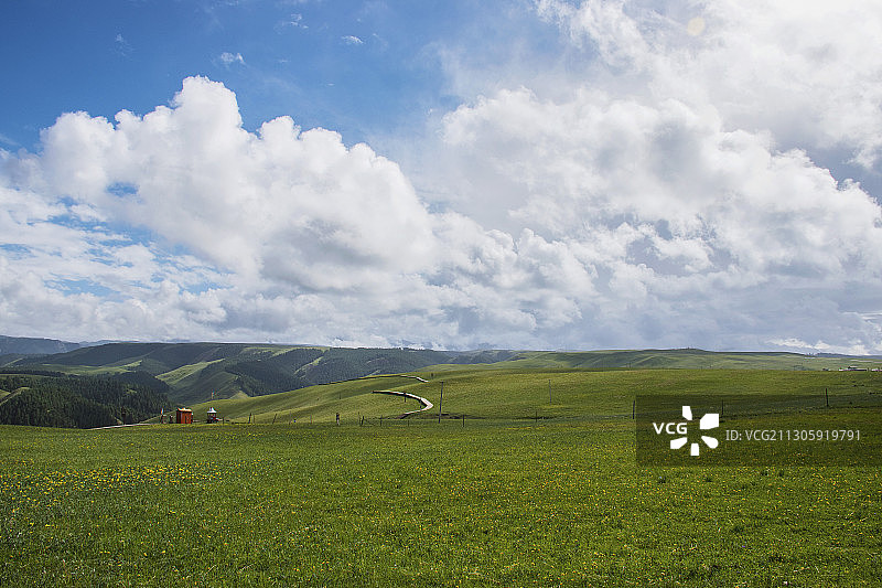 雨后&康乐草原图片素材