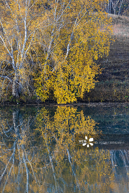 乌兰布统公主湖秋景图片素材
