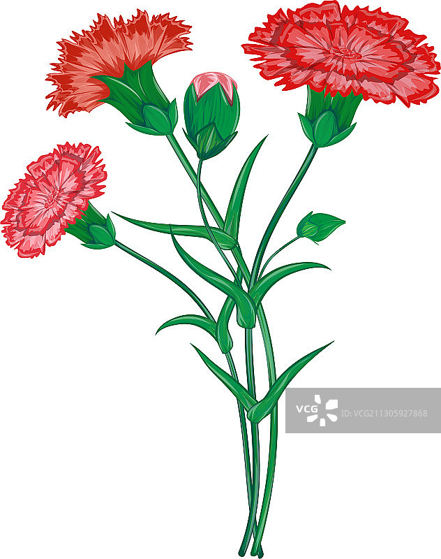 红色康乃馨或丁香花春季花束图片素材