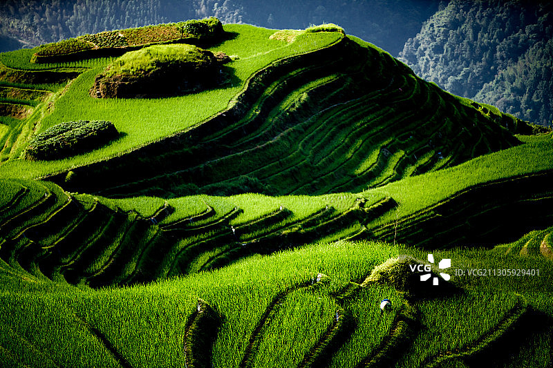 广西桂林山水图片素材