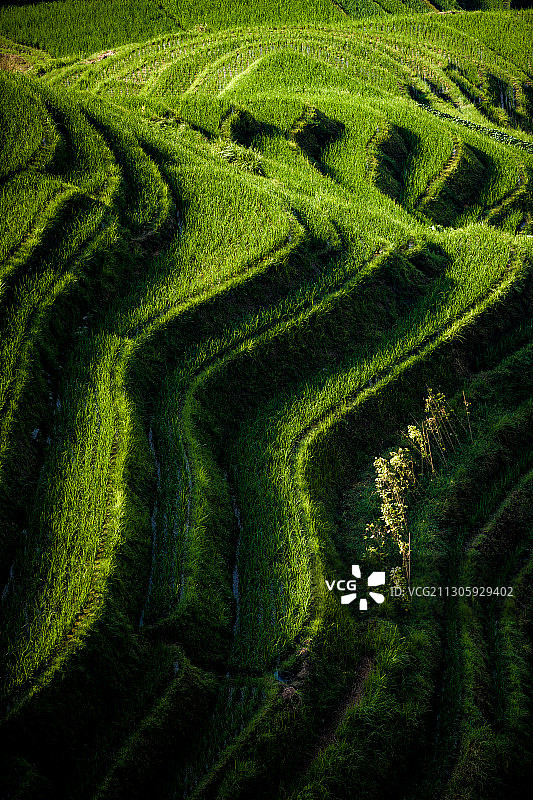 广西桂林山水图片素材