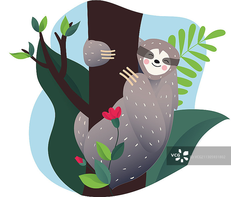 可爱的懒惰树懒正在睡觉图片素材